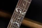 Ibanez Limited Edition Steve Vai JEM 20th Anniversary-21.jpg